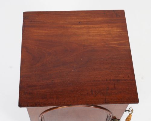 ANTIQUE VICTORIAN TABLE TOP JEWELLERY COLLECTORS CABINET 19TH C - ADDITIONAL PHOTO 2