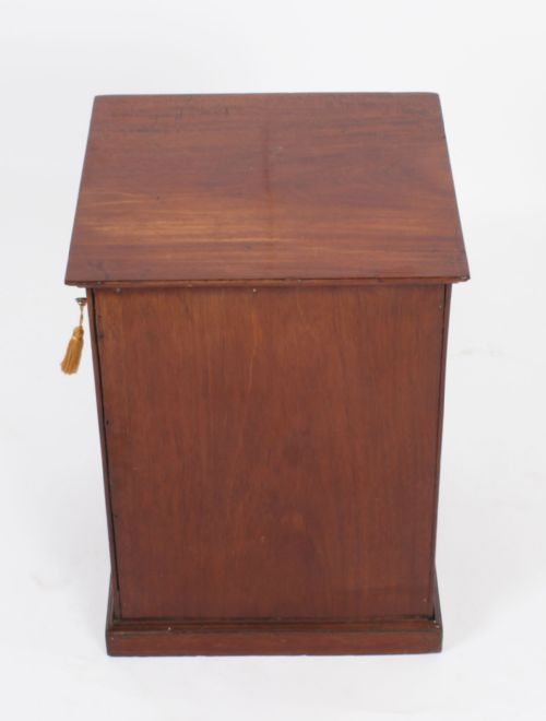 ANTIQUE VICTORIAN TABLE TOP JEWELLERY COLLECTORS CABINET 19TH C - ADDITIONAL PHOTO 5