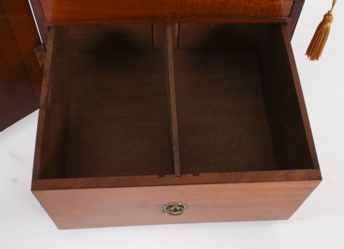 ANTIQUE VICTORIAN TABLE TOP JEWELLERY COLLECTORS CABINET 19TH C - ADDITIONAL PHOTO 10