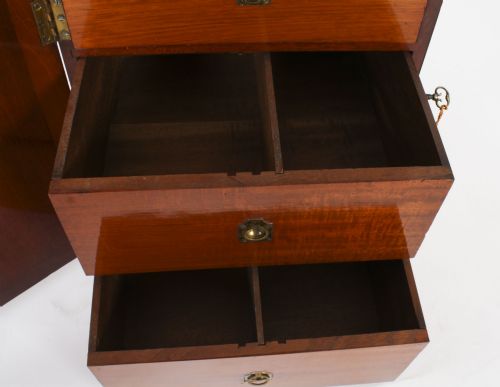 ANTIQUE VICTORIAN TABLE TOP JEWELLERY COLLECTORS CABINET 19TH C - ADDITIONAL PHOTO 11
