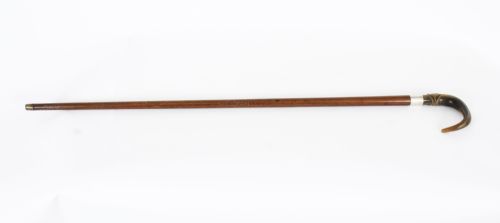 Antique Horn Handled Walking Cane Stick Silver Collar C1904
