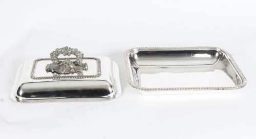 ANTIQUE PAIR ENTREE DISHES MATTHEW LINWOOD C1820 19TH CENTURY - ADDITIONAL PHOTO 19