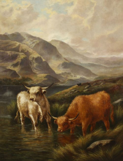 fig 1. Antique Large Pair Scottish Highland Cattle Oil Paintings 3ft5 x 4ft2 19th C