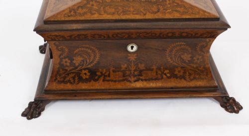 ANTIQUE GEORGE IV GONALO ALVES AMBOYNA MARQUETRY TEA CADDY C1825 19TH C - ADDITIONAL PHOTO 3