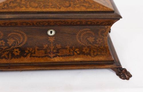 ANTIQUE GEORGE IV GONALO ALVES AMBOYNA MARQUETRY TEA CADDY C1825 19TH C - ADDITIONAL PHOTO 5