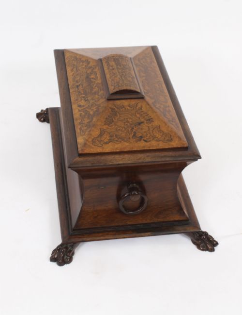 ANTIQUE GEORGE IV GONALO ALVES AMBOYNA MARQUETRY TEA CADDY C1825 19TH C - ADDITIONAL PHOTO 7