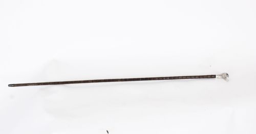 fig 1. Antique Walking Stick Cane Sterling Silver Duck Head Handle by Brigg 1897