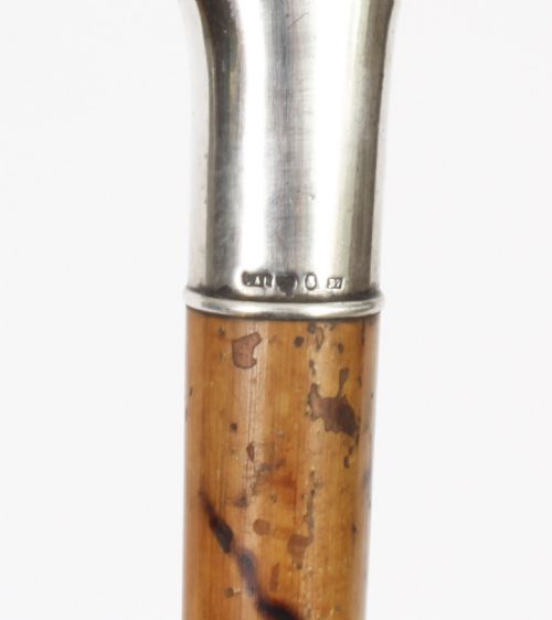 ANTIQUE CONTINETAL SILVER EBONIZED WALKING CANE STICK LATE 19TH C - ADDITIONAL PHOTO 6