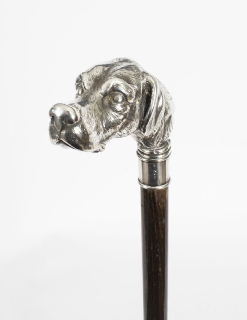 fig 2. Antique Dogs Head Sliver Handled Walking Stick Cane 19thC 96cm/38 inch
