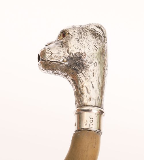 fig 2. Antique English Boxer Dogs Head Walking Cane Stick Dated 1900 92cm / 36'