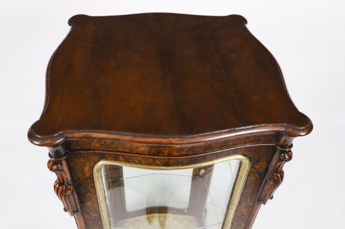 ANTIQUE ORMOLU MOUNTED VITRINE DISPLAY CABINET C1880 19TH CENTURY - ADDITIONAL PHOTO 2