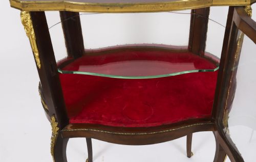 ANTIQUE ORMOLU MOUNTED BIJOUTERIE DISPLAY CABINET 19TH CENTURY - ADDITIONAL PHOTO 9