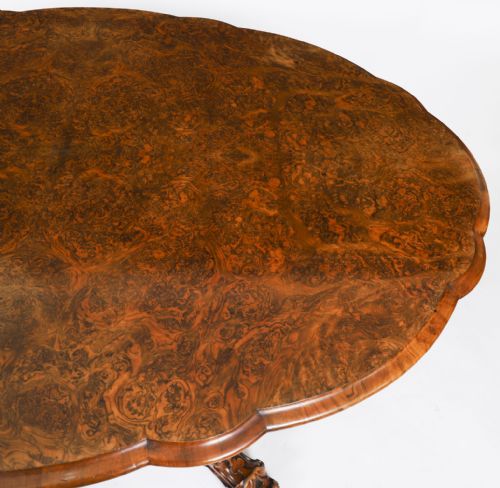 fig 3. Antique Burr Walnut Oval Tilt Top Loo Dining Table Circa 1860 19th Century