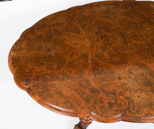 fig 5. Antique Burr Walnut Oval Tilt Top Loo Dining Table Circa 1860 19th Century