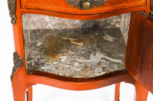 ANTIQUE PAIR FRENCH LOUIS XV PARQUETRY BOMBE BEDSIDE CABINETS 19TH C - ADDITIONAL PHOTO 9