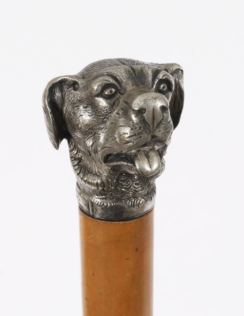 ANTIQUE DOGS HEAD SLIVER PLATED HANDLED WALKING STICK CANE 19THC 94CM 37 INCH - ADDITIONAL PHOTO 2