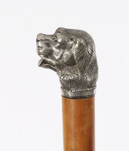 ANTIQUE DOGS HEAD SLIVER PLATED HANDLED WALKING STICK CANE 19THC 94CM 37 INCH - ADDITIONAL PHOTO 4
