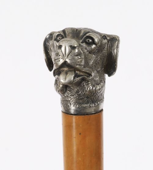 ANTIQUE DOGS HEAD SLIVER PLATED HANDLED WALKING STICK CANE 19THC 94CM 37 INCH - ADDITIONAL PHOTO 6