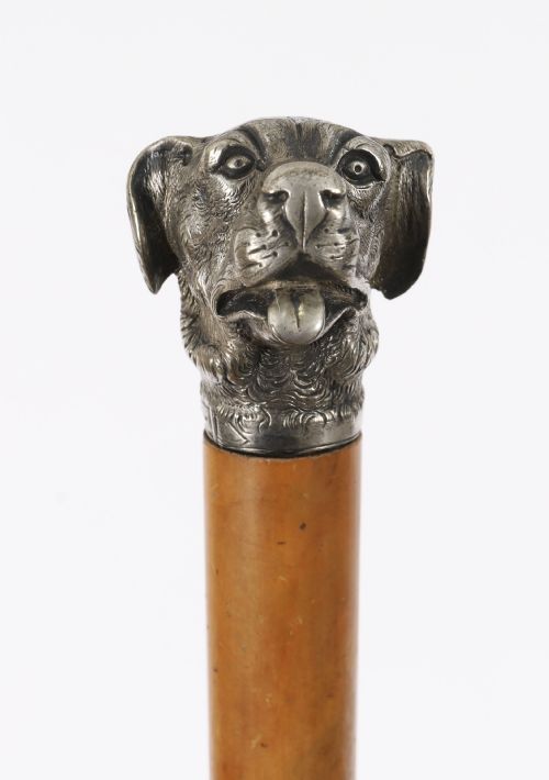 ANTIQUE DOGS HEAD SLIVER PLATED HANDLED WALKING STICK CANE 19THC 94CM 37 INCH - ADDITIONAL PHOTO 7
