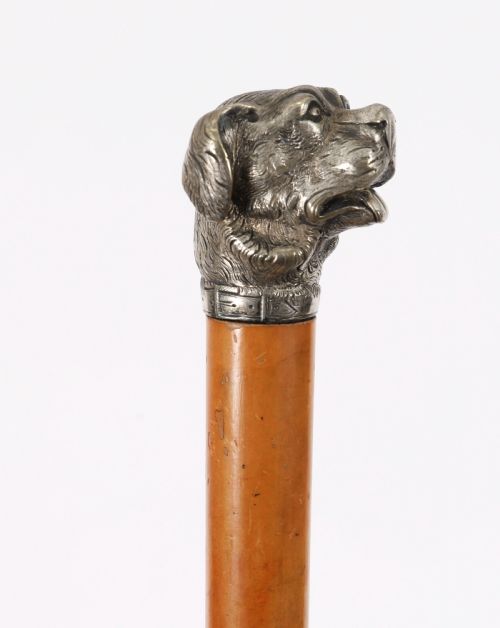 ANTIQUE DOGS HEAD SLIVER PLATED HANDLED WALKING STICK CANE 19THC 94CM 37 INCH - ADDITIONAL PHOTO 8