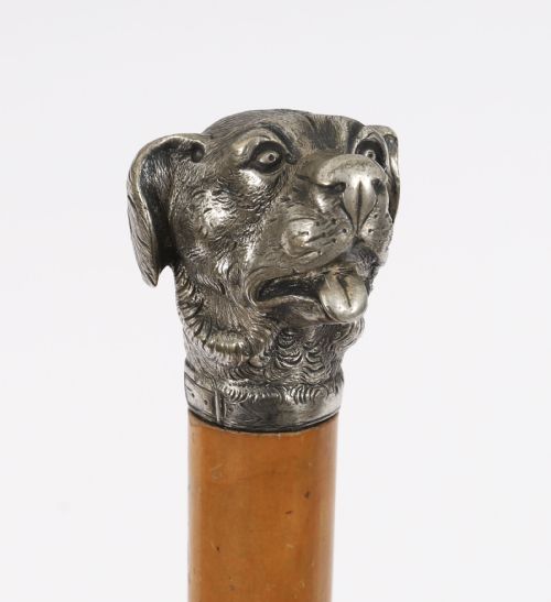 ANTIQUE DOGS HEAD SLIVER PLATED HANDLED WALKING STICK CANE 19THC 94CM 37 INCH - ADDITIONAL PHOTO 12