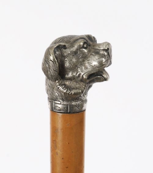 ANTIQUE DOGS HEAD SLIVER PLATED HANDLED WALKING STICK CANE 19THC 94CM 37 INCH - ADDITIONAL PHOTO 13
