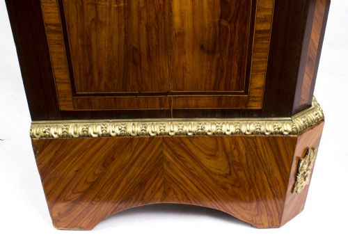 ANTIQUE VICTORIAN BURR WALNUT ORMOLU MOUNTED DISPLAY CABINET 19TH CENTURY - ADDITIONAL PHOTO 16