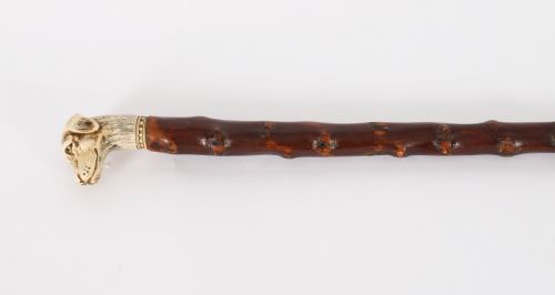 Antique Vizsla Dog Head Walking Cane Stick 19thc 93cm 36.5inches
