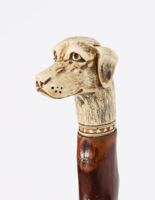 fig 1. Antique Vizsla Dog Head Walking Cane Stick 19thC 93cm 36.5inches