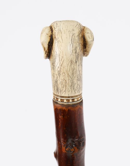 fig 2. Antique Vizsla Dog Head Walking Cane Stick 19thC 93cm 36.5inches