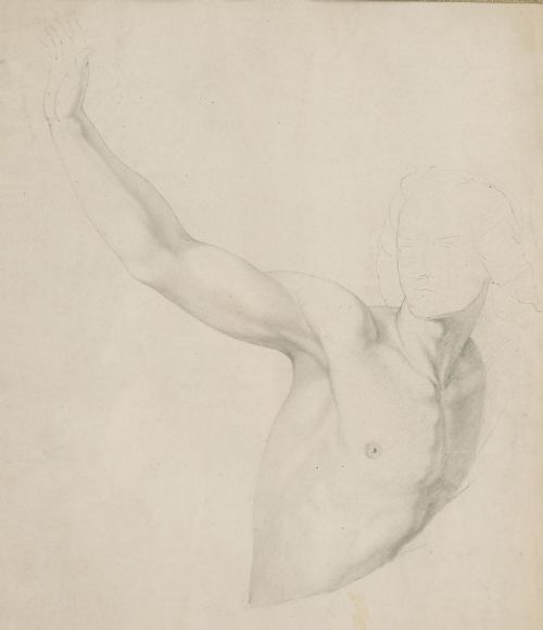 fig 1. A framed late 19th-century graphite drawing on cream paper depicting a male anatomical figural study with an raised arm, set within a black frame featuring a gold inner trim.