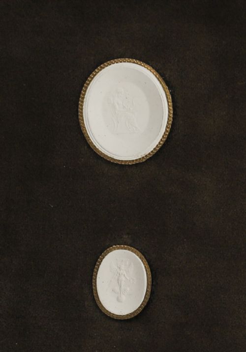 fig 3. A dark wooden moulding frame housing six white plaster classical intaglio impressions set against a dark brown velvet background.