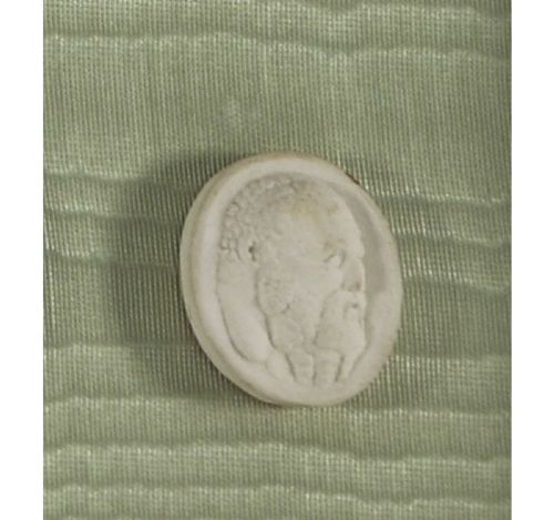 A pair of framed displays containing white plaster intaglio relief medallions mounted on green patterned fabric inside gilt frames. View XIII