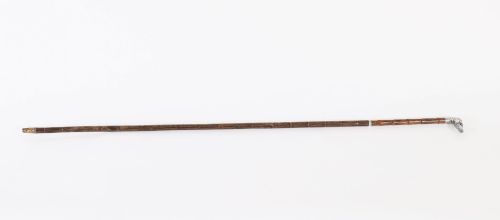 fig 1. An antique walking stick featuring a sculpted silver greyhound head handle with hallmarks set upon a dark polished wood shaft.