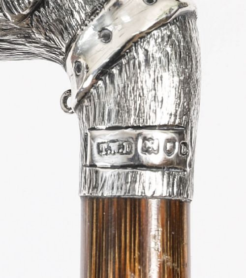 fig 2. An antique walking stick featuring a sculpted silver greyhound head handle with hallmarks set upon a dark polished wood shaft.