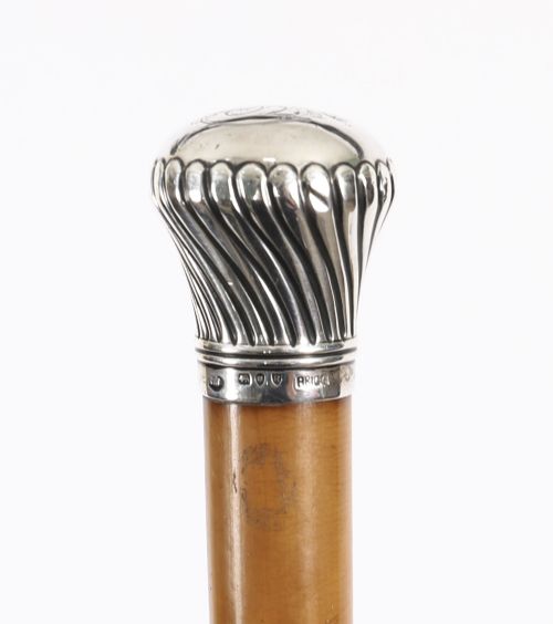 fig 2. Victorian walking cane featuring an engraved sterling silver pommel with spiralled fluting mounted on a light wood shaft.