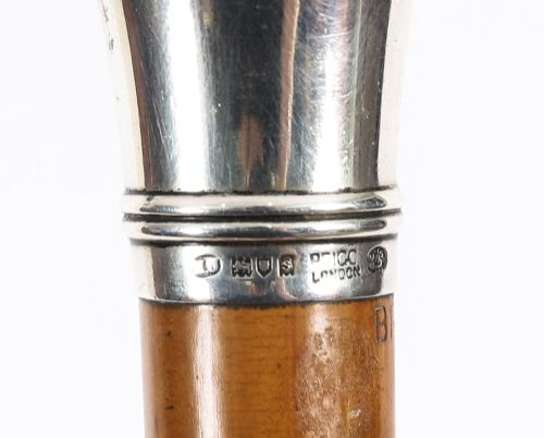 fig 7. An Edwardian walking stick featuring a smooth domed sterling silver pommel and a polished wooden shaft.
