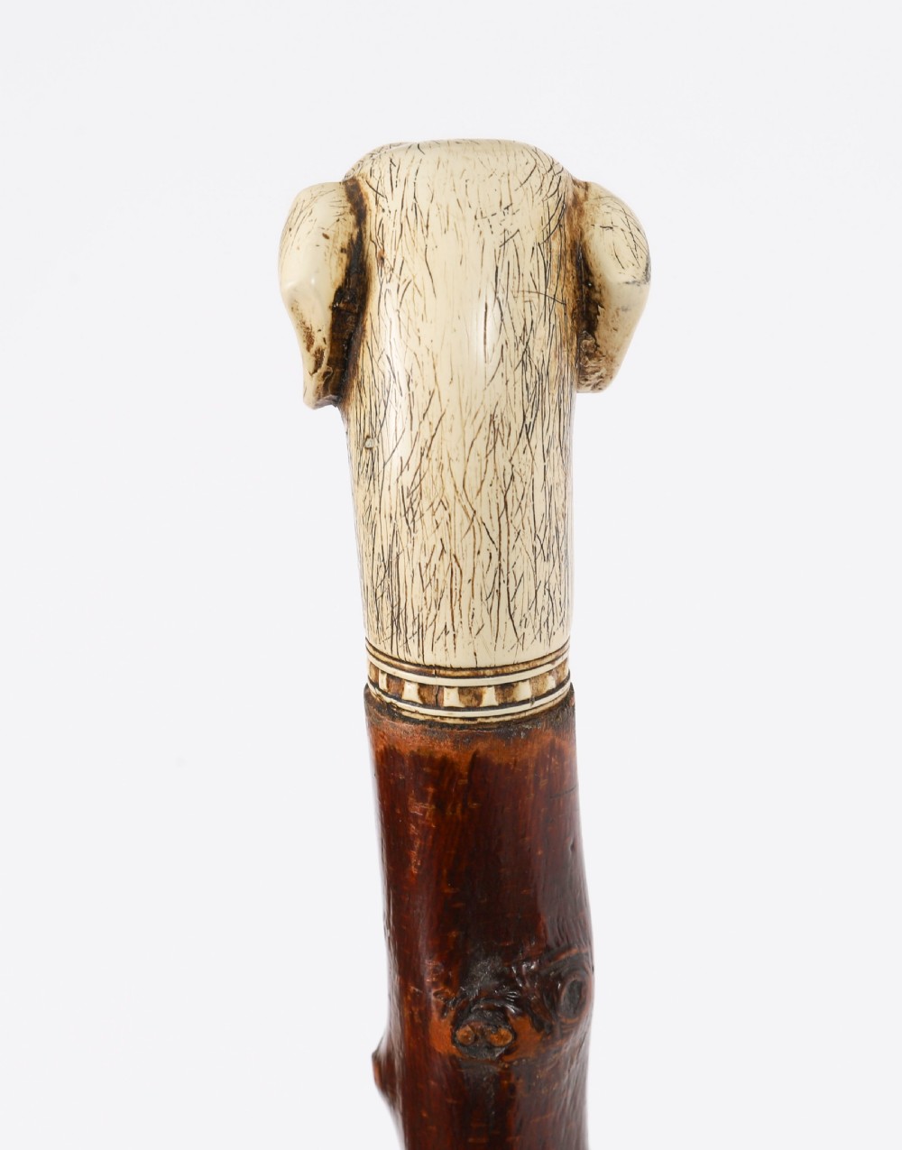 Antique Vizsla Dog Head Walking Cane Stick 19thC 93cm 36.5inches View III