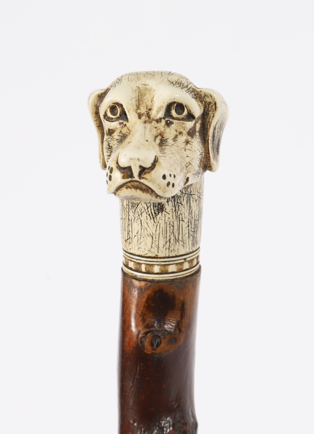 Antique Vizsla Dog Head Walking Cane Stick 19thC 93cm 36.5inches View IV
