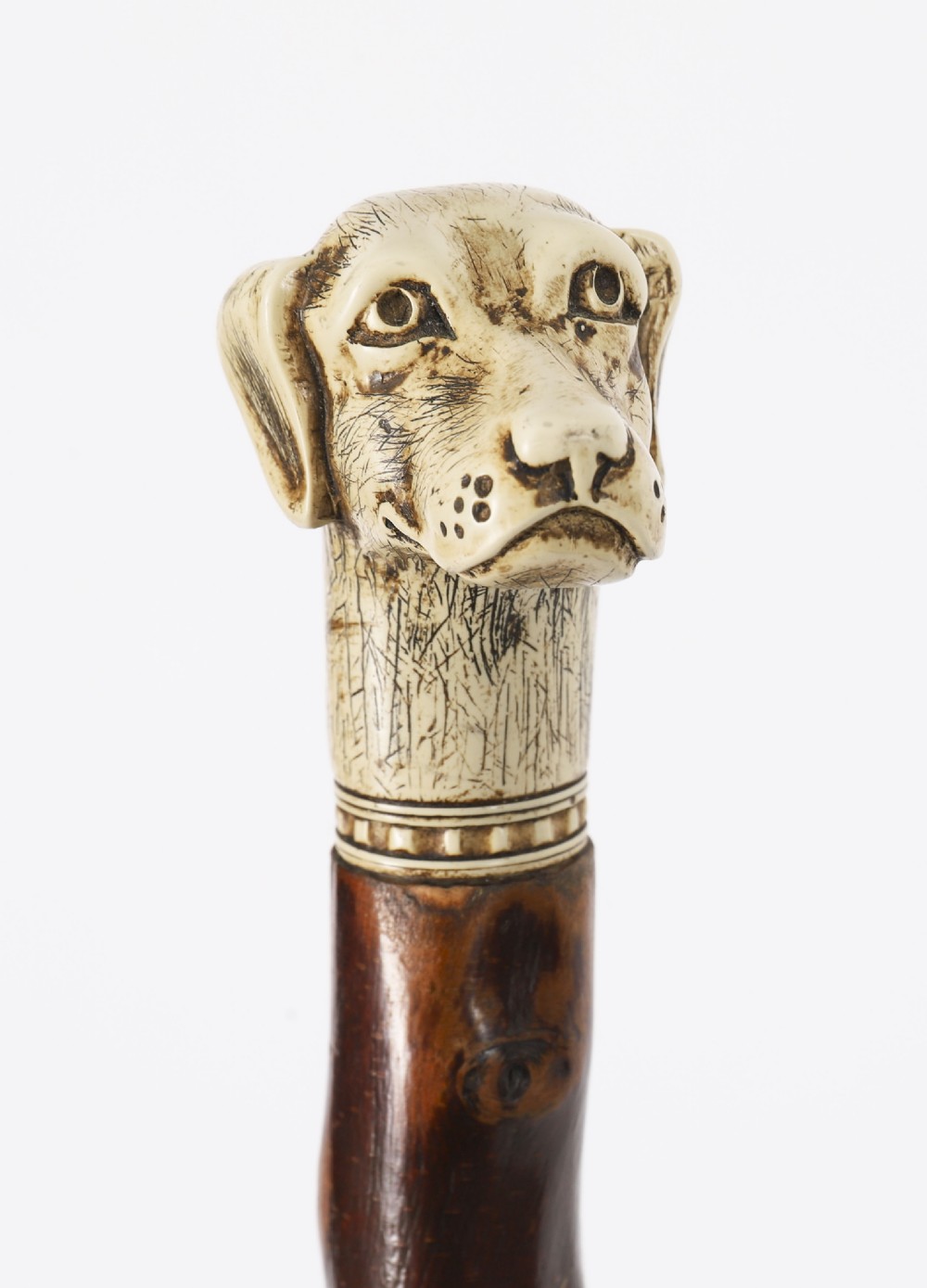 Antique Vizsla Dog Head Walking Cane Stick 19thC 93cm 36.5inches View V