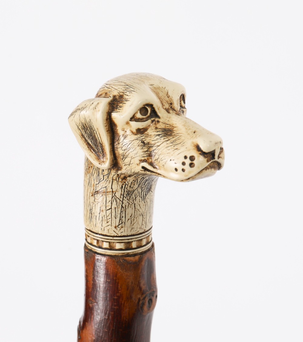 Antique Vizsla Dog Head Walking Cane Stick 19thC 93cm 36.5inches View VI