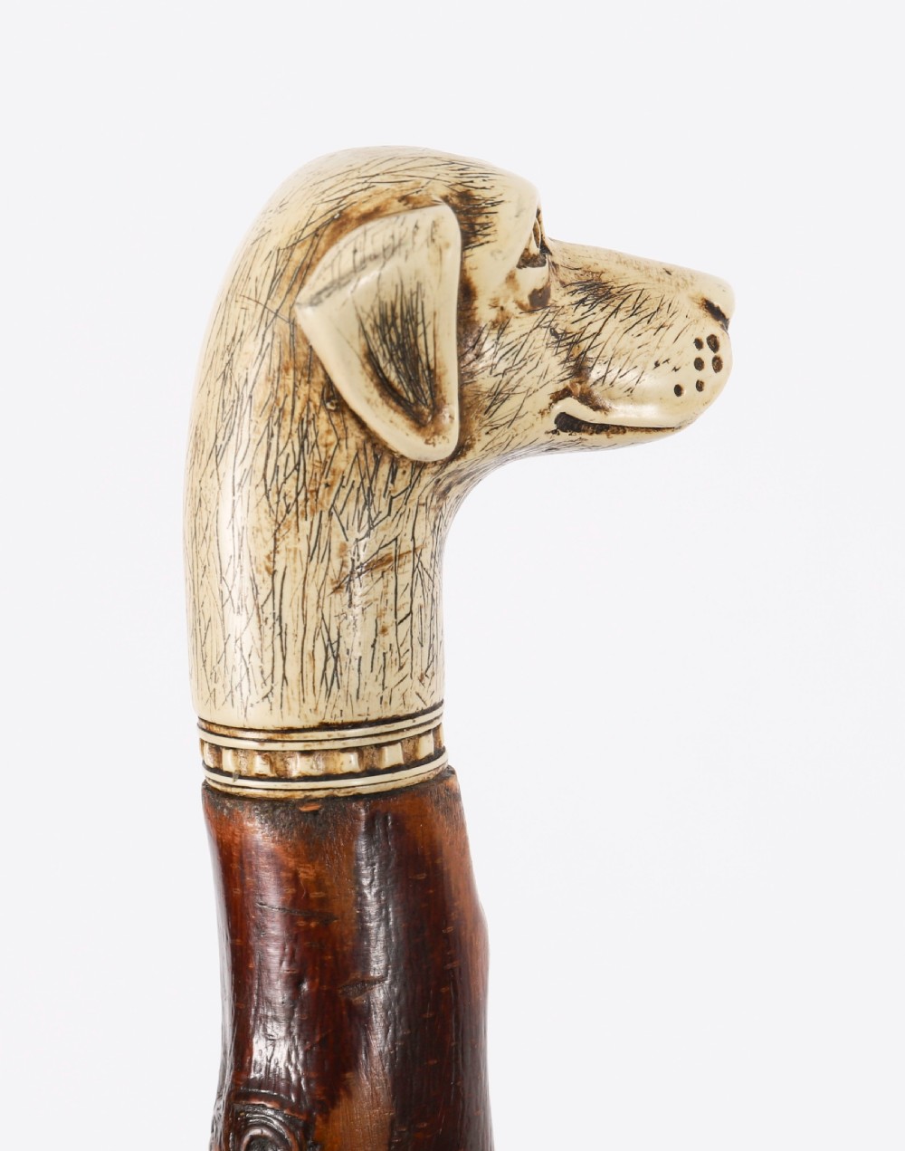 Antique Vizsla Dog Head Walking Cane Stick 19thC 93cm 36.5inches View VII