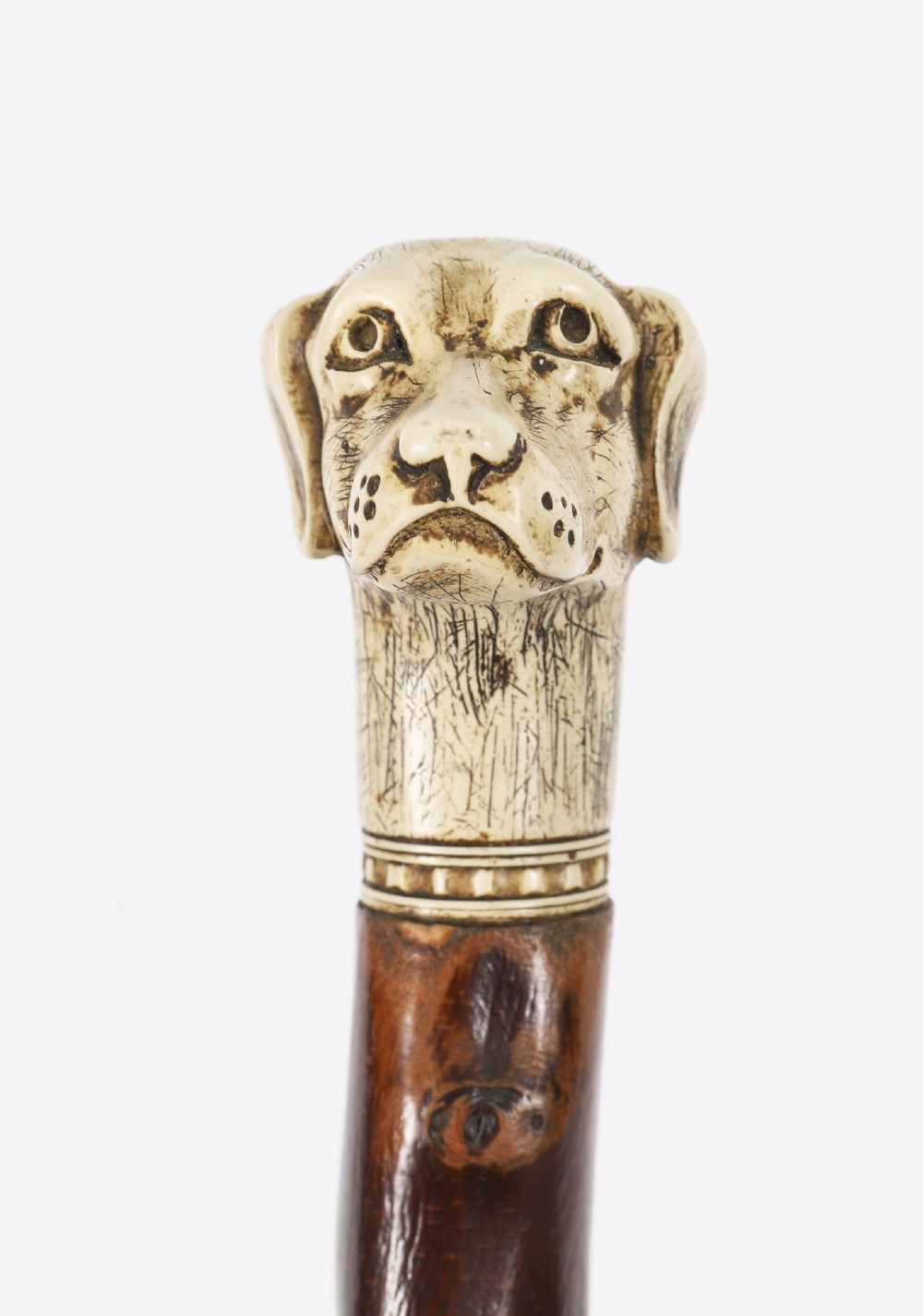 Antique Vizsla Dog Head Walking Cane Stick 19thC 93cm 36.5inches View IX
