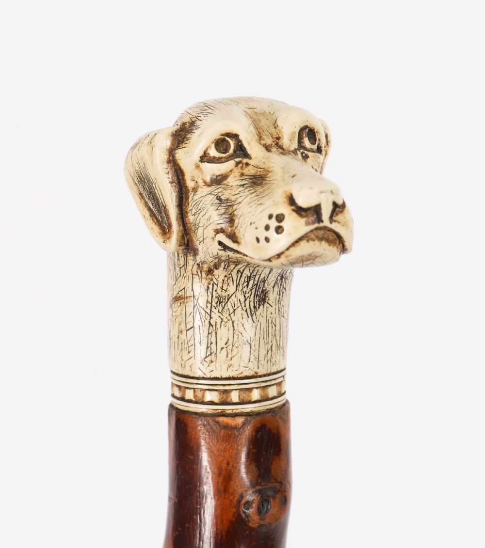Antique Vizsla Dog Head Walking Cane Stick 19thC 93cm 36.5inches View X