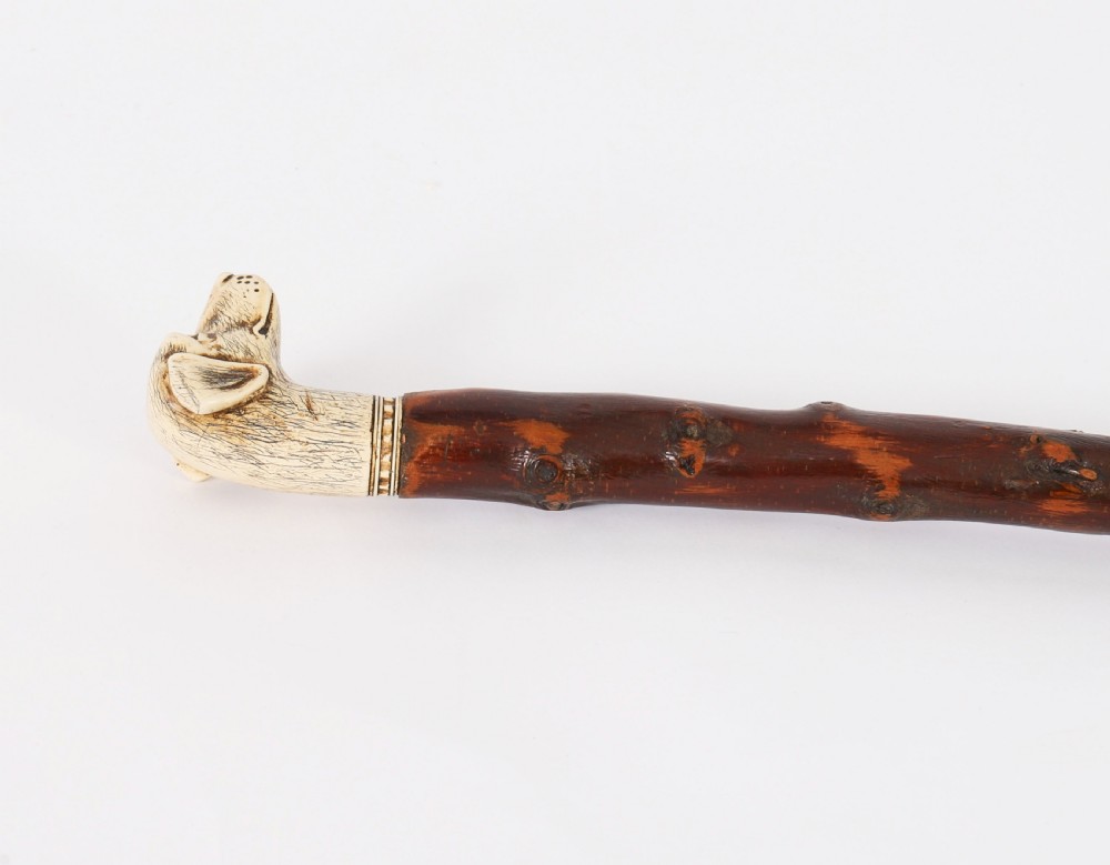 Antique Vizsla Dog Head Walking Cane Stick 19thC 93cm 36.5inches View XI