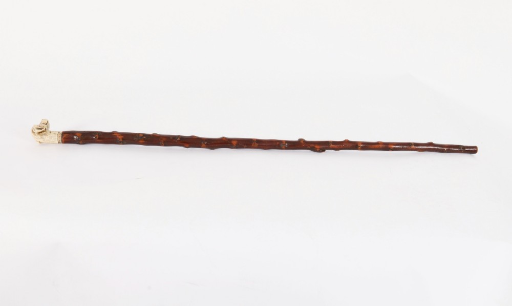 Antique Vizsla Dog Head Walking Cane Stick 19thC 93cm 36.5inches View XII
