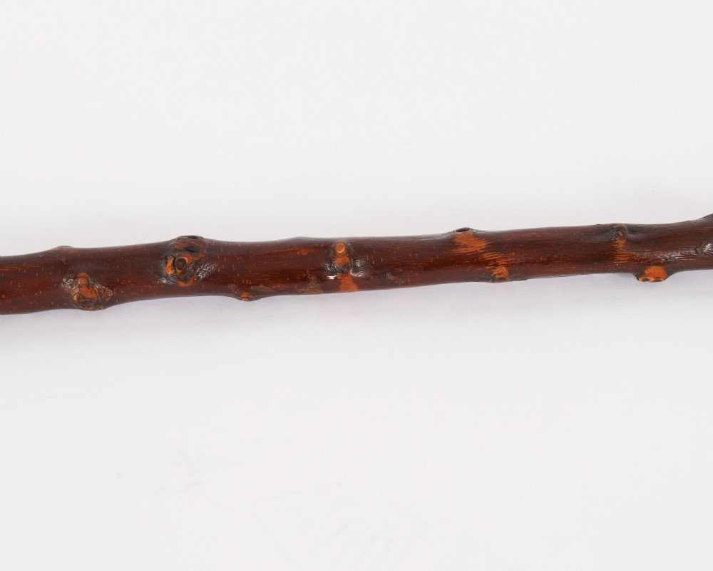 Antique Vizsla Dog Head Walking Cane Stick 19thC 93cm 36.5inches View XIV