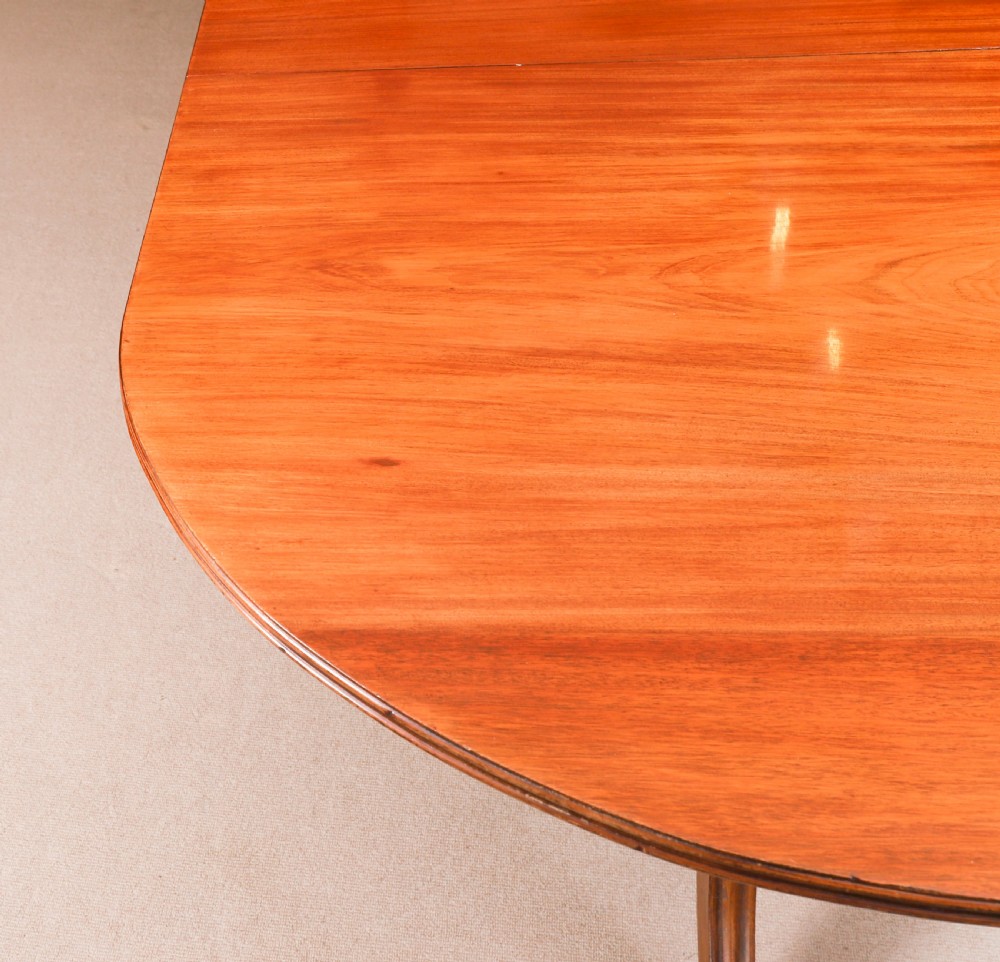 A long polished mahogany triple pillar dining table featuring splayed tripod bases fitted with brass claw feet and castors. View VIII