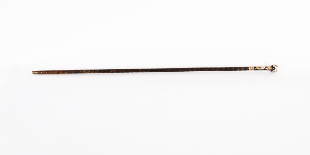 Alternate View