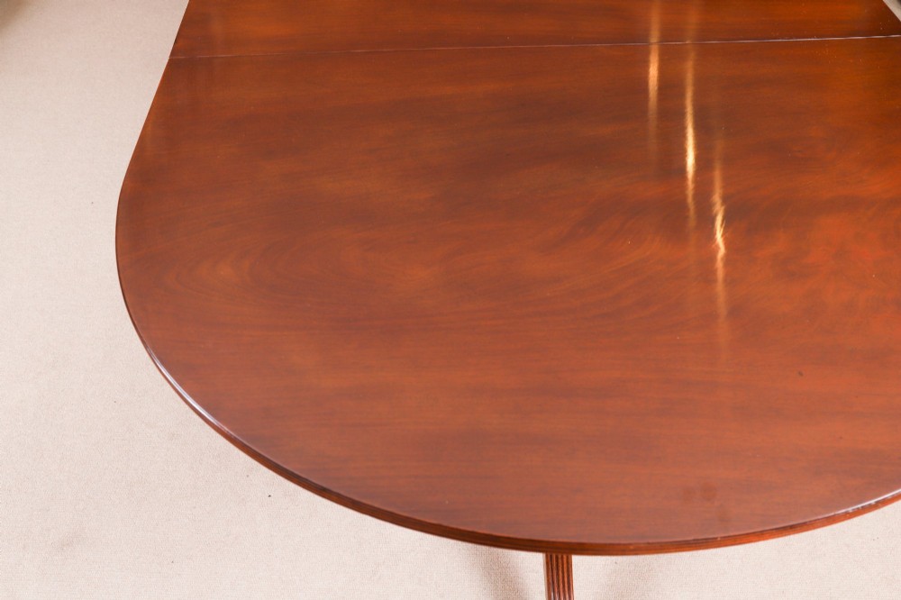 An extended mahogany Regency Revival triple pillar dining table with reeded legs and brass paw castors. View XIII